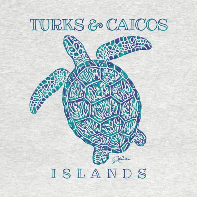 Turks & Caicos Islands Sea Turtle by jcombs